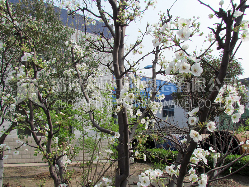 太極搪瓷花園式廠區環境