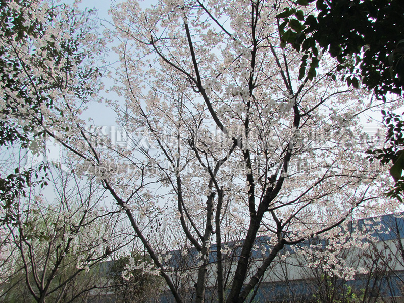 太極搪瓷花園式廠區環境